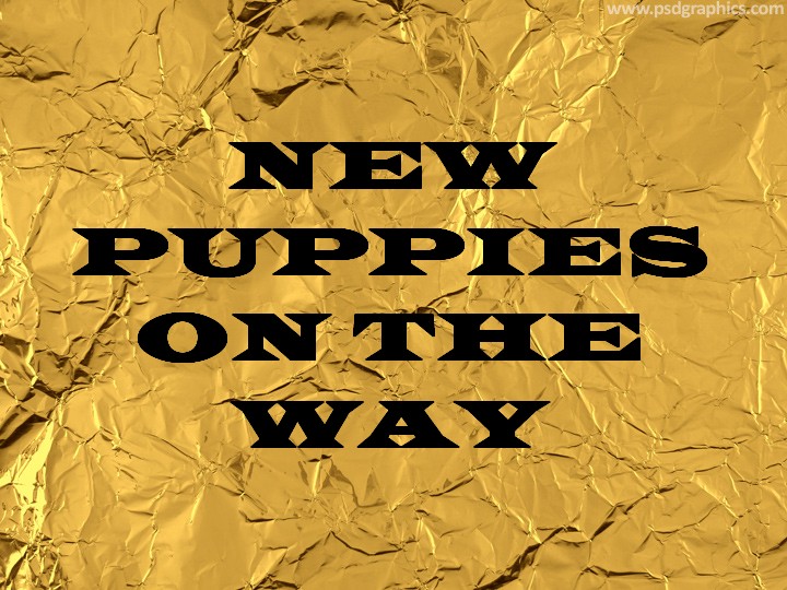 French Bulldog Puppies For Sale Waycross, Douglass, Lindor